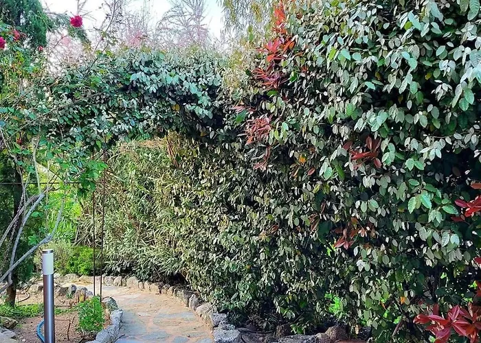 Casa Marcelli 4